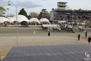 Cambridge horse racing