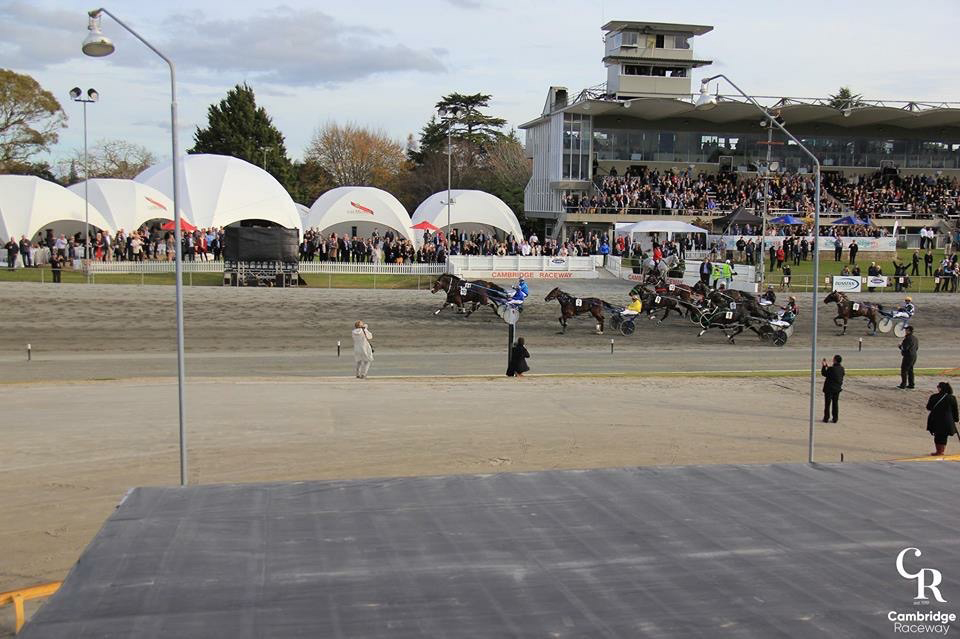 Cambridge horse racing